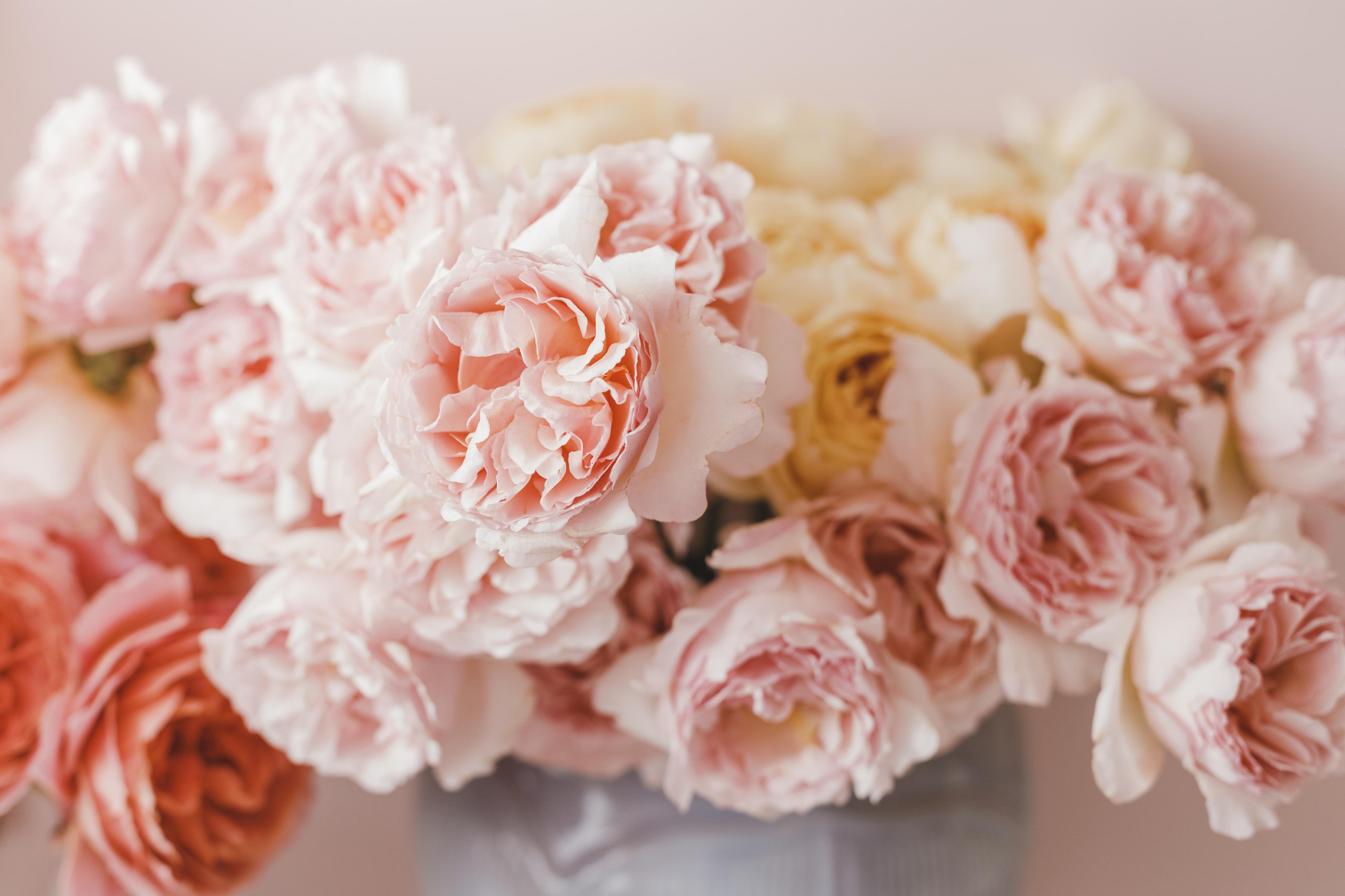 Cómo cuidar tus flores secas? – Clementina Estudio Floral